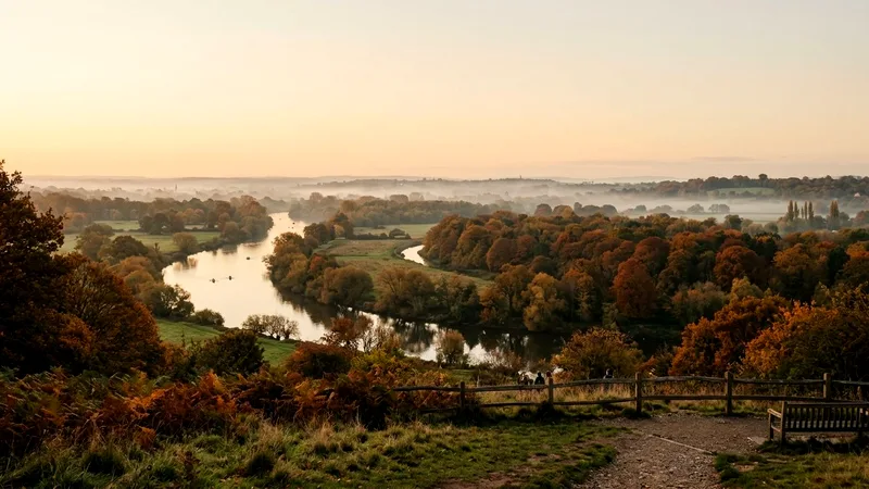 Thames bending through autumn woodland and meadows seen from Richmond Hill.